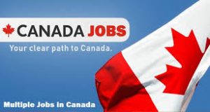 Canada Jobs for Foreigners With Visa Sponsorship